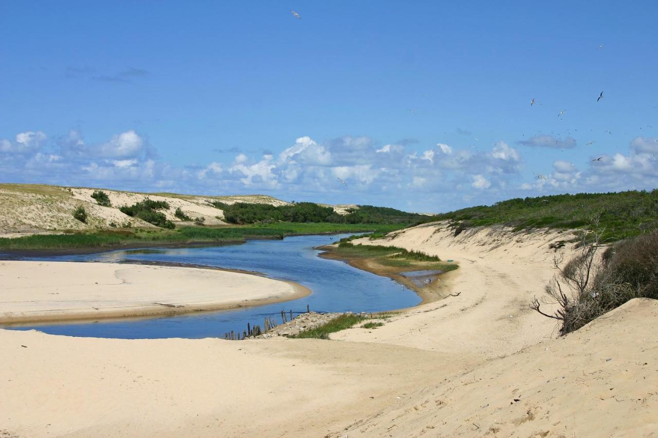 L'Appart Vue Golf Piscines Nature Ocean A Moliets Leilighet Eksteriør bilde